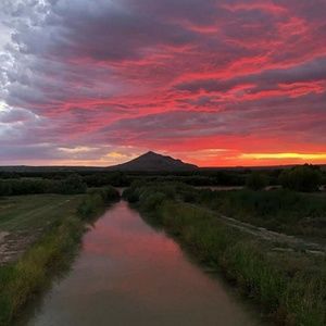 Meet your Posher, Mary allyn